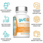Gut I.Q.® Spore - Based Probiotic - GutIQ